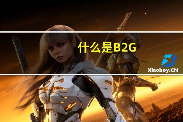 什么是B2G