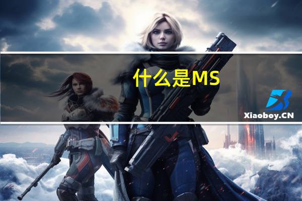 什么是MS