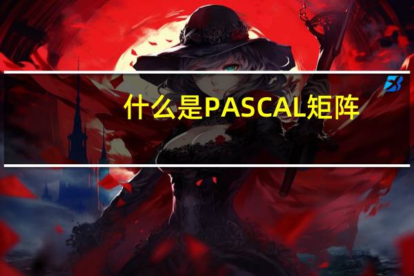 什么是PASCAL矩阵