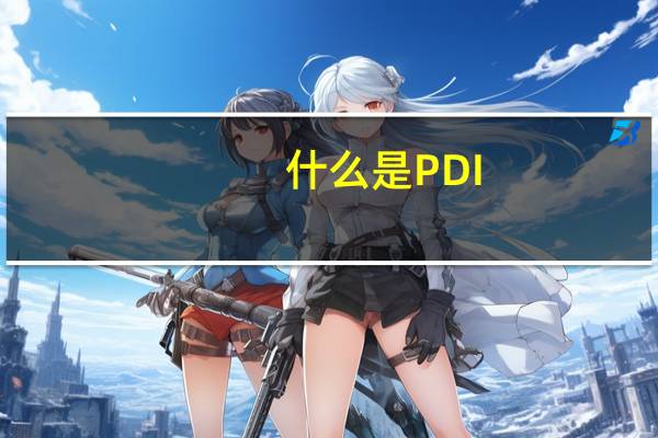 什么是PDI
