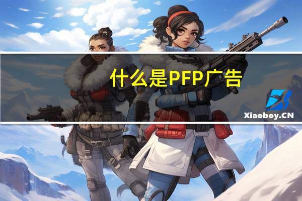 什么是PFP广告