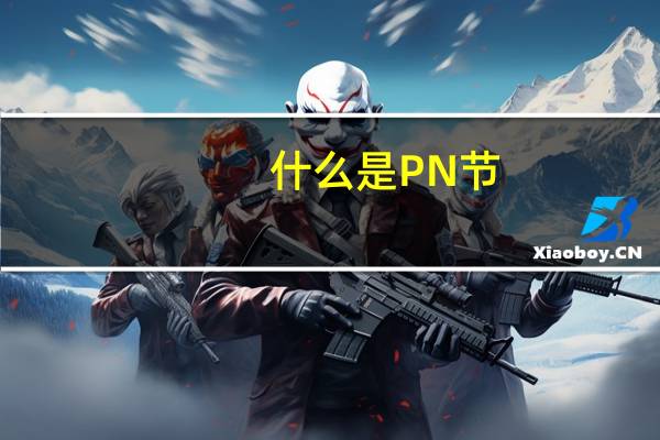 什么是PN节