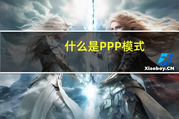什么是PPP模式