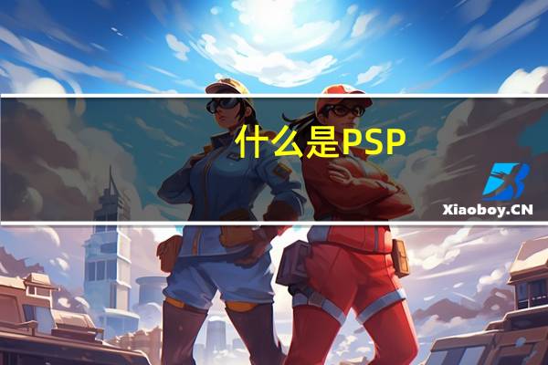 什么是PSP