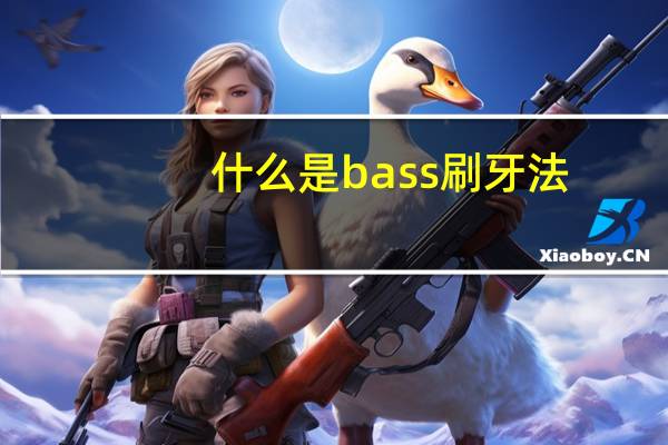 什么是bass刷牙法
