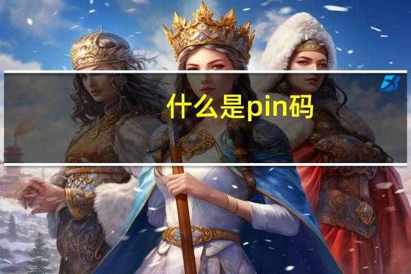 什么是pin码