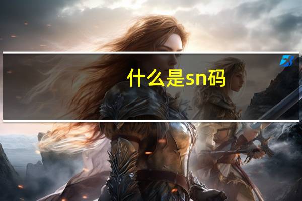什么是sn码