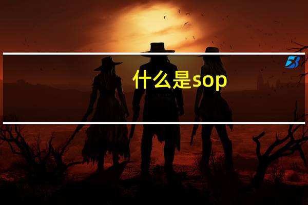 什么是sop
