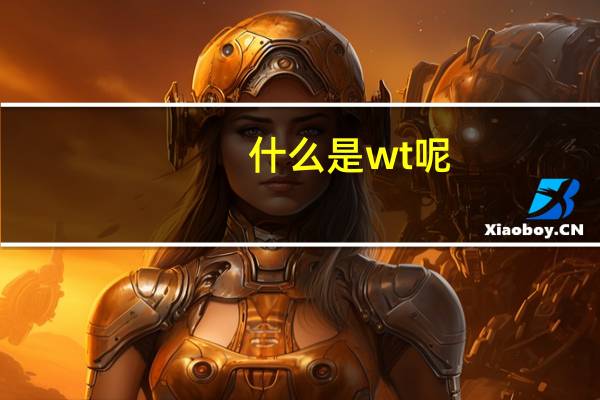 什么是wt呢