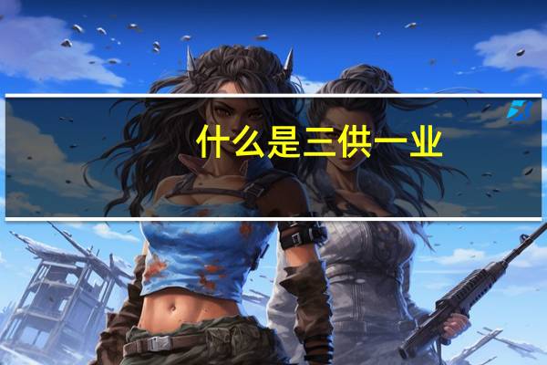 什么是三供一业