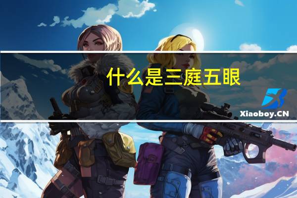 什么是三庭五眼