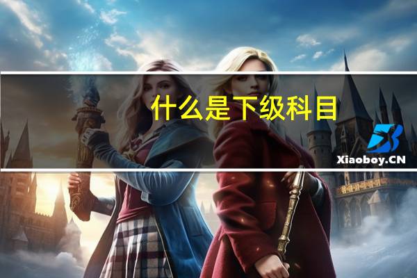 什么是下级科目