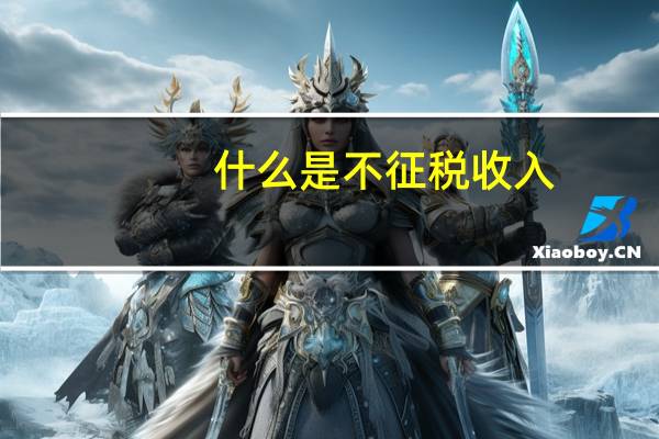 什么是不征税收入