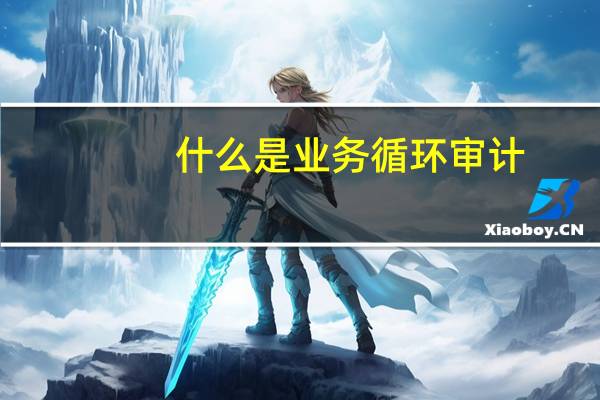 什么是业务循环审计