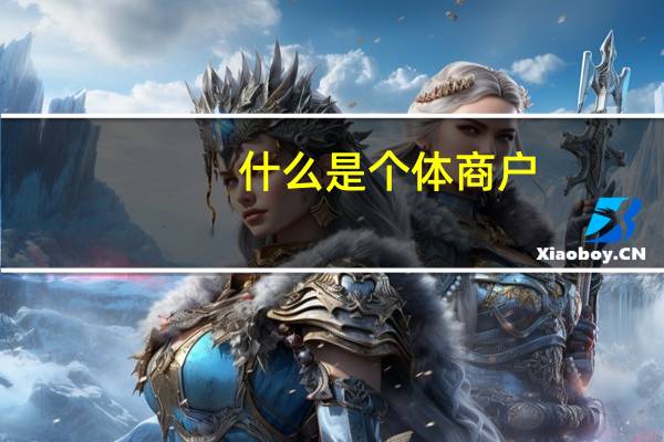 什么是个体商户