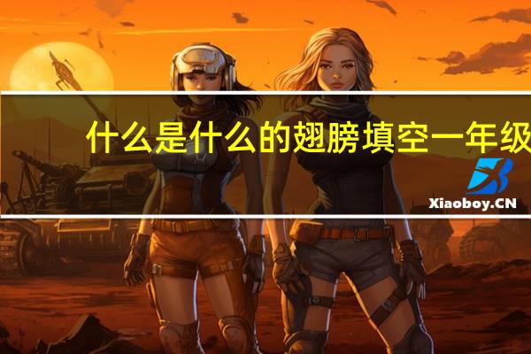 什么是什么的翅膀填空一年级