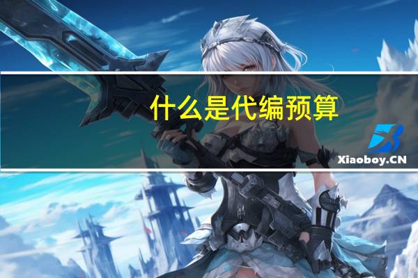 什么是代编预算
