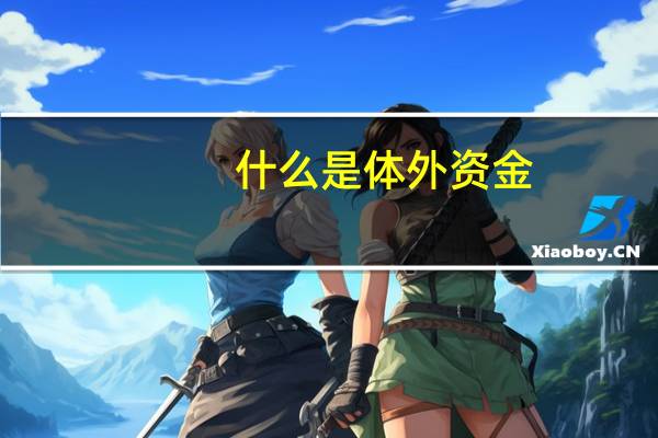 什么是体外资金