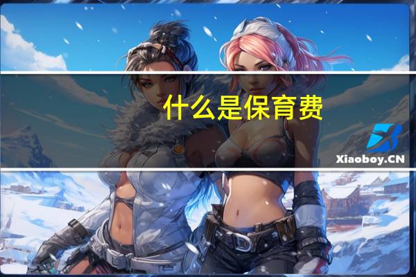 什么是保育费