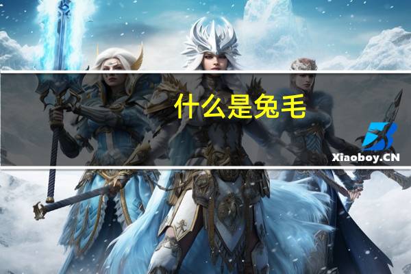 什么是兔毛