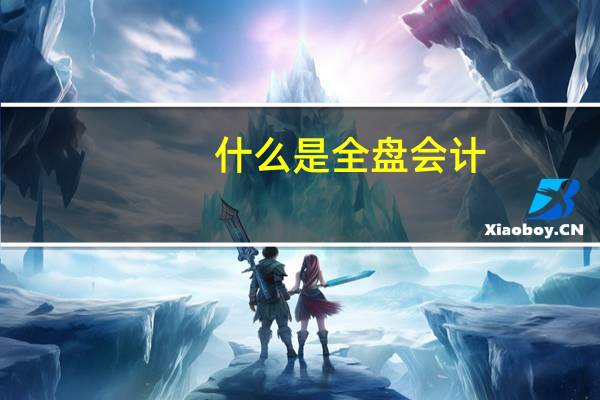 什么是全盘会计