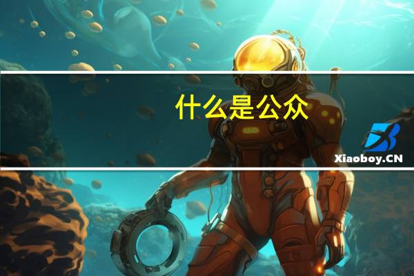 什么是公众