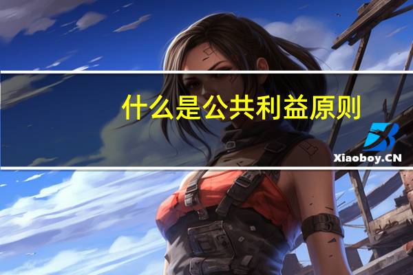 什么是公共利益原则