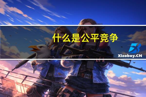 什么是公平竞争