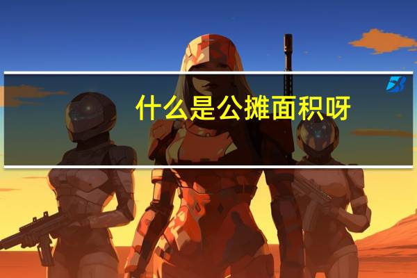 什么是公摊面积呀