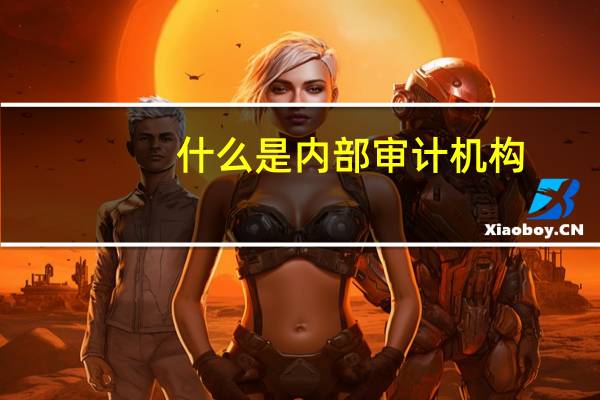 什么是内部审计机构