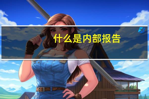 什么是内部报告