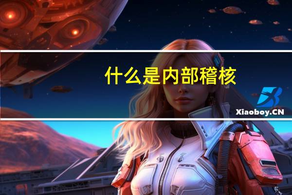 什么是内部稽核