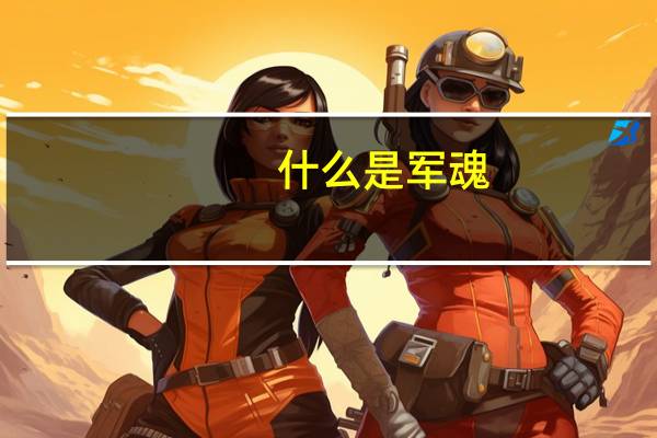 什么是军魂