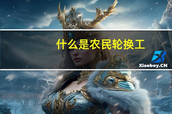 什么是农民轮换工