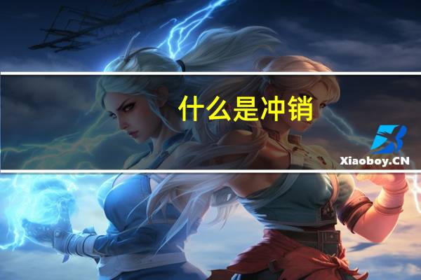 什么是冲销