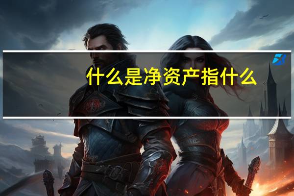 什么是净资产指什么