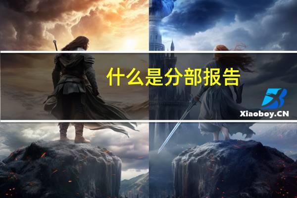 什么是分部报告