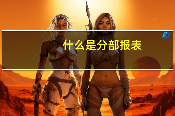 什么是分部报表