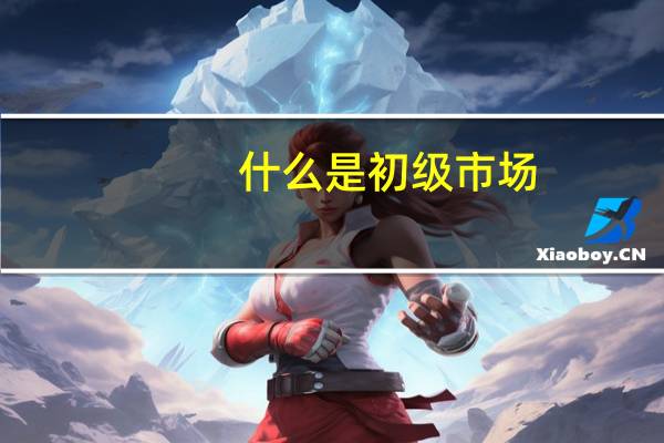 什么是初级市场
