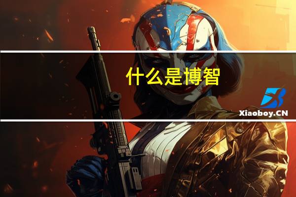 什么是博智