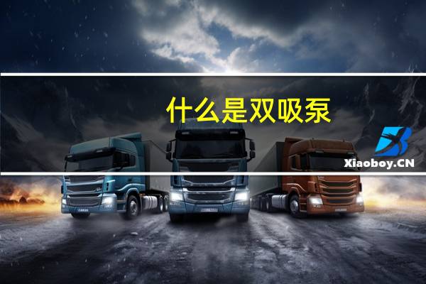 什么是双吸泵