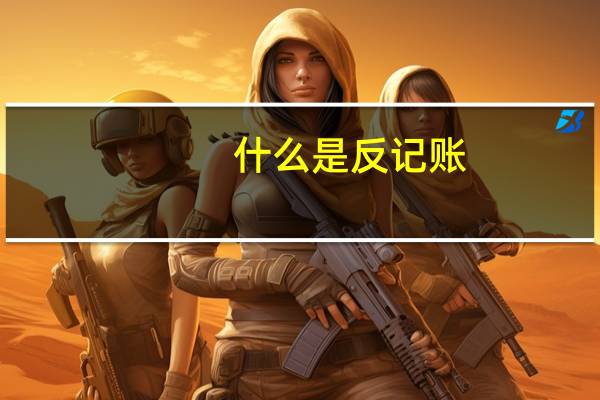 什么是反记账