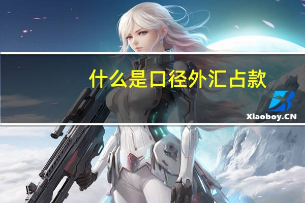 什么是口径外汇占款