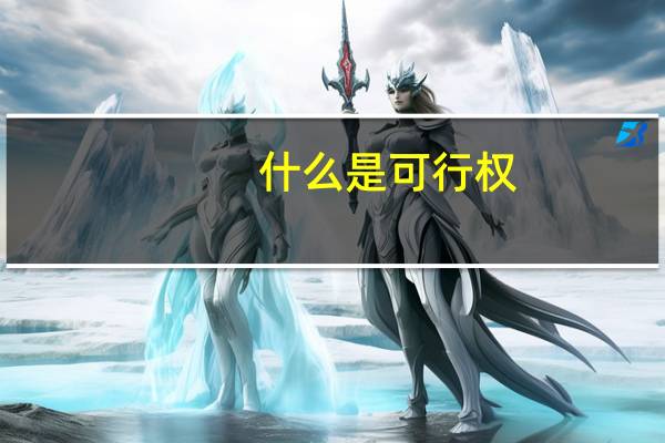 什么是可行权