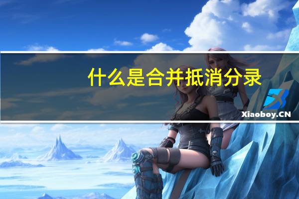 什么是合并抵消分录