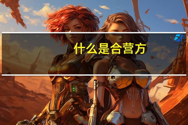 什么是合营方