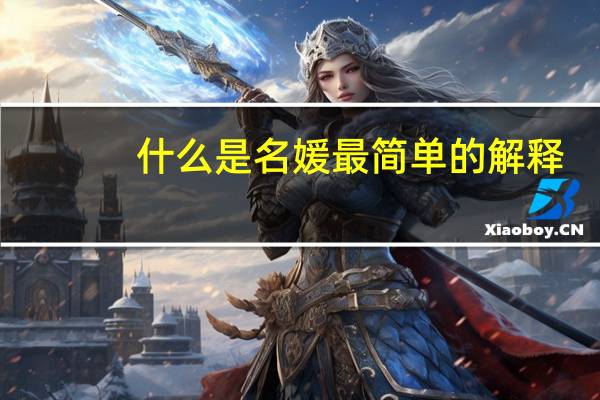 什么是名媛最简单的解释