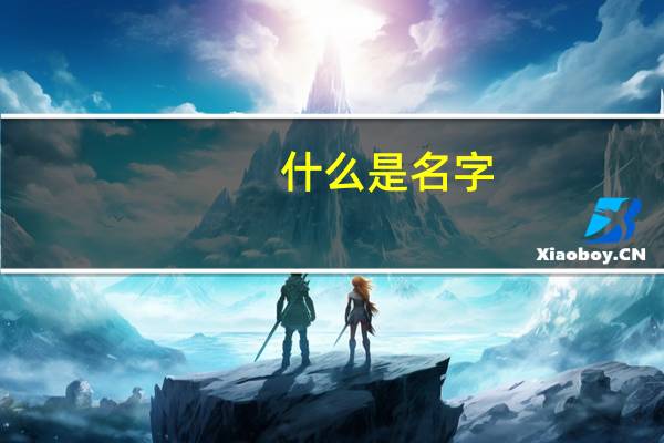什么是名字