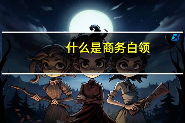 什么是商务白领