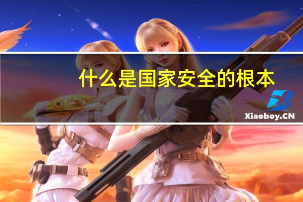 什么是国家安全的根本